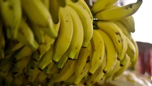 6 alimentos que ajudam a combater a insônia: o que incluir no jantar para dormir melhor, segundo especialistas