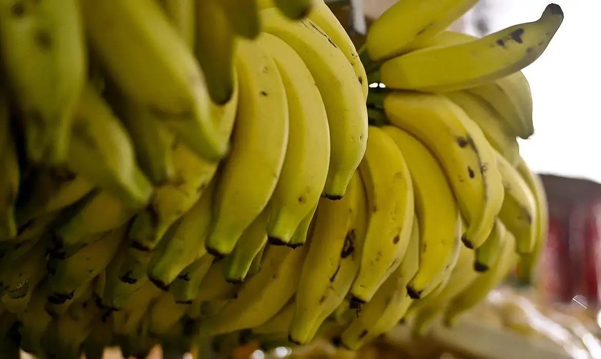 6 alimentos que ajudam a combater a insônia: o que incluir no jantar para dormir melhor, segundo especialistas