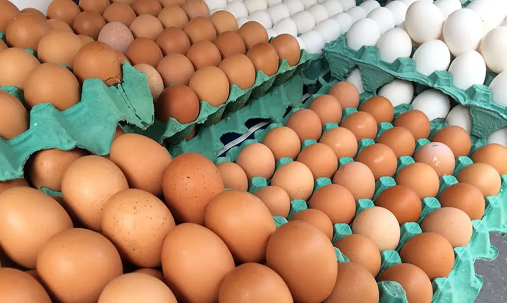 6 alimentos poderosos que ajudam a aumentar a massa muscular