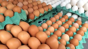 6 alimentos poderosos que ajudam a aumentar a massa muscular