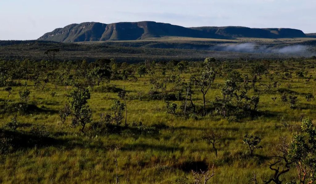 chapada dos veadeiros (1)