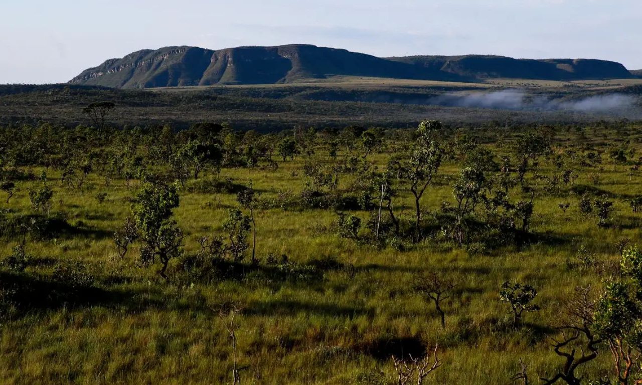 chapada dos veadeiros (1)