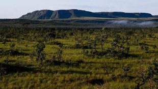 chapada dos veadeiros (1)