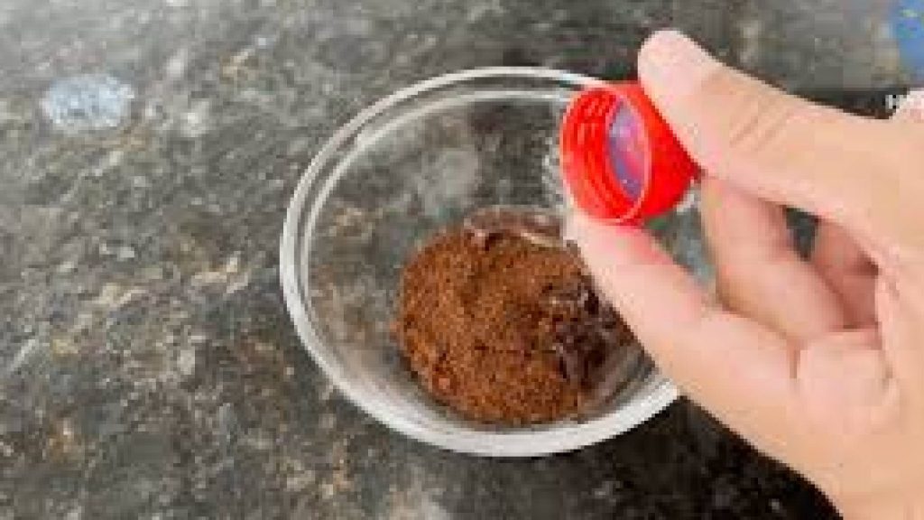 Esse ingrediente barato do mercado espanta formigas em minutos