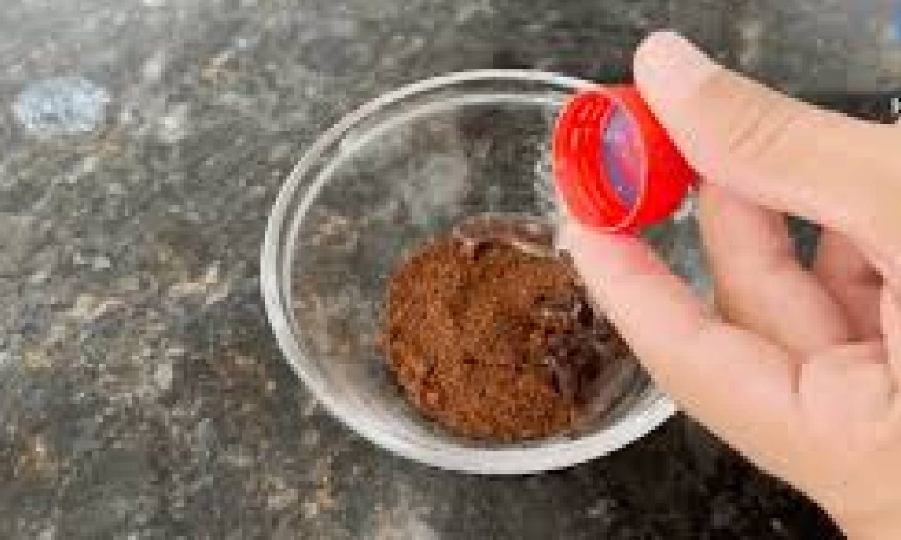 Esse ingrediente barato do mercado espanta formigas em minutos