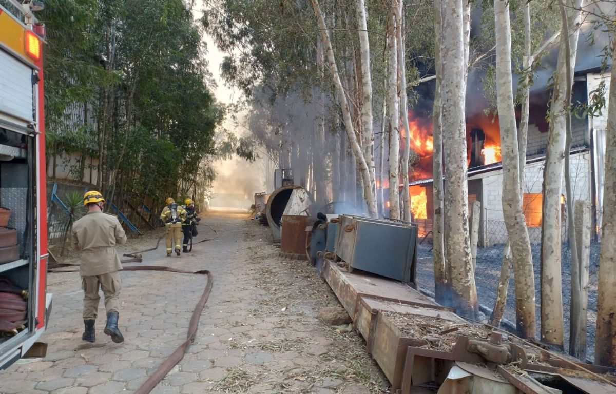 Incêndio no DAIA só deve terminar após dois dias de trabalhos do Corpo de Bombeiros; veja imagens