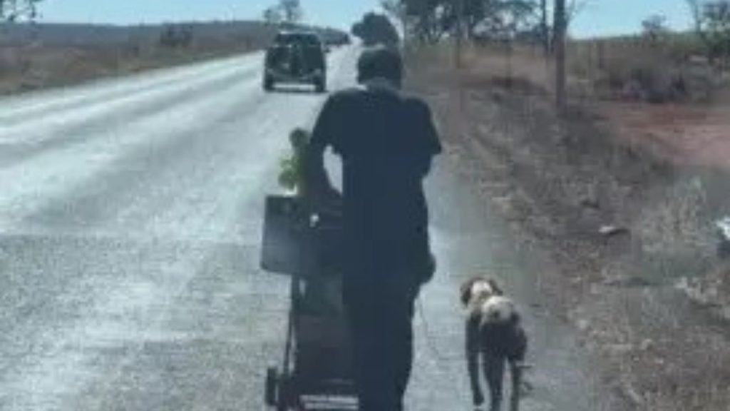 Goiano percorreu mais de 300 km apenas para viajar junto ao cachorro.