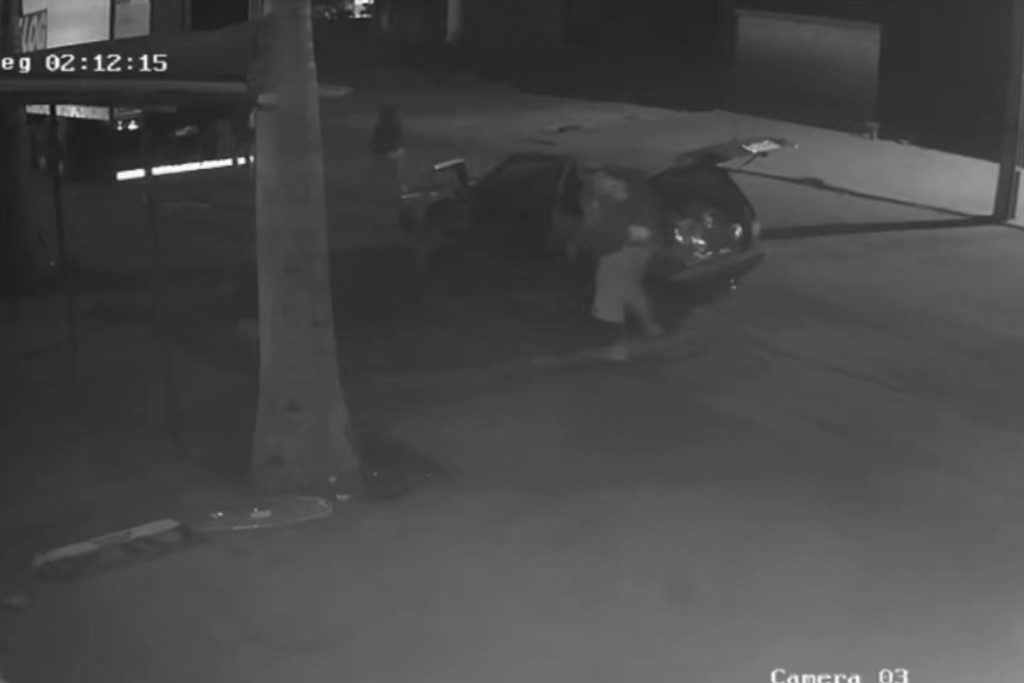 Família de Aparecida de Goiânia que estava furtando cargas com “Toddynho” foi descoberta