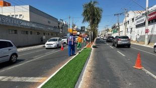 Grama sintética foi instalada em avenida de Goiânia. (Foto: Prefeitura de Goiânia)