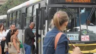 Mulher humilhada por motorista de ônibus após pedir ajuda para motorista ganha direito a indenização