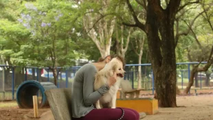 Acariciar cães na rua: o que isso revela sobre sua personalidade, segundo a psicologia