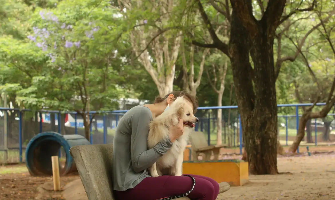 Acariciar cães na rua: o que isso revela sobre sua personalidade, segundo a psicologia