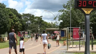 Qual é o melhor horário para caminhar e queimar mais calorias, segundo médicos do esporte