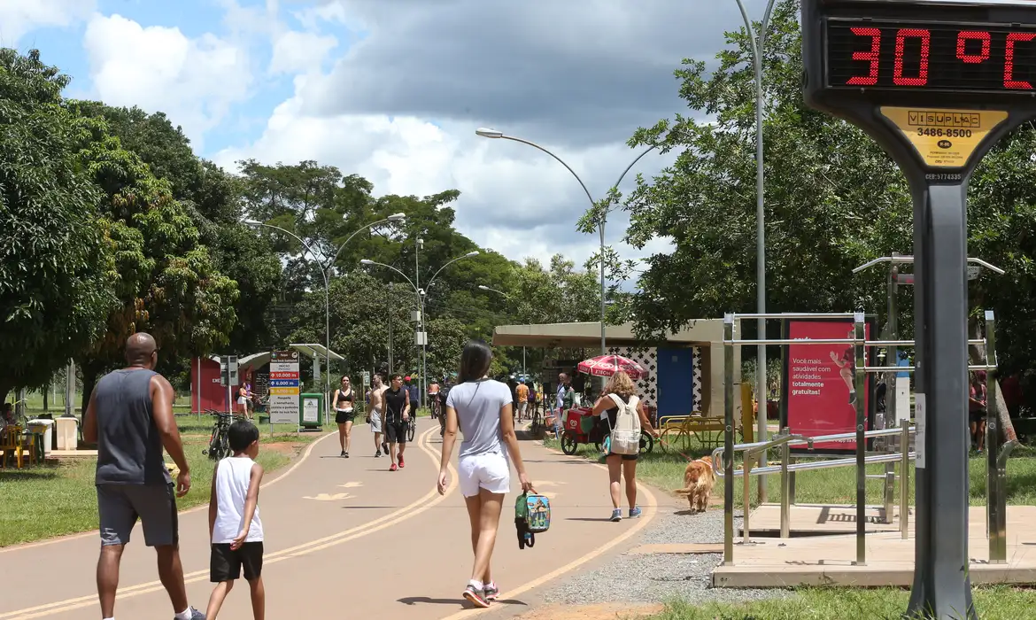 Qual é o melhor horário para caminhar e queimar mais calorias, segundo médicos do esporte