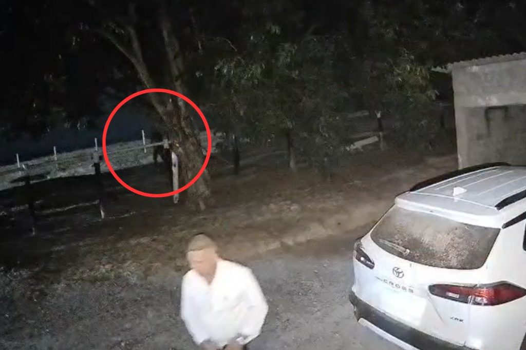 Câmeras registram momento que prefeito de Morro Agudo de Goiás é baleado