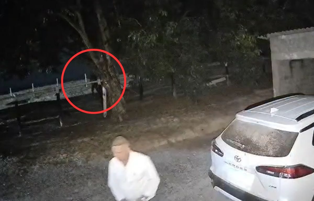 Câmeras registram momento que prefeito de Morro Agudo de Goiás é baleado