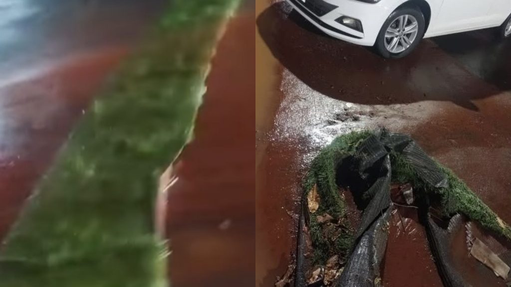 Grama sintética foi arrancada na primeira chuva forte. (Foto: @indioinjusticadooficial e @sobregyn)