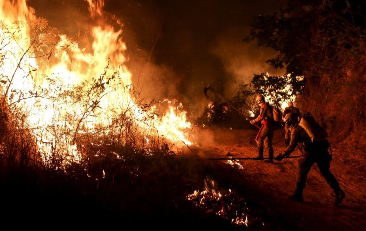 Fogo atinge área em Goiás. (Foto: Divulgação/CBMGO)