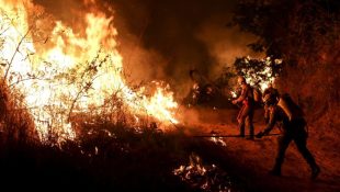Fogo atinge área em Goiás. (Foto: Divulgação/CBMGO)