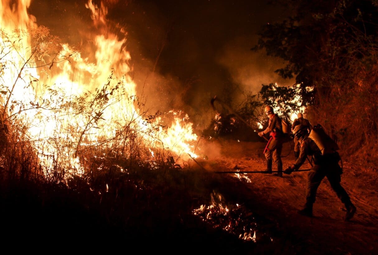 Fogo atinge área em Goiás. (Foto: Divulgação/CBMGO)
