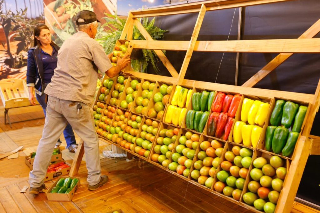 Conheça a cidade entre Goiânia e Brasília que é um das melhores opções para se viver