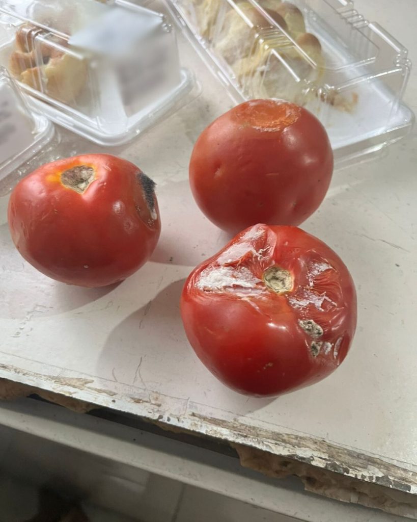 SaveClip.App_553783435_18074370212329109_1857209101557984437_n