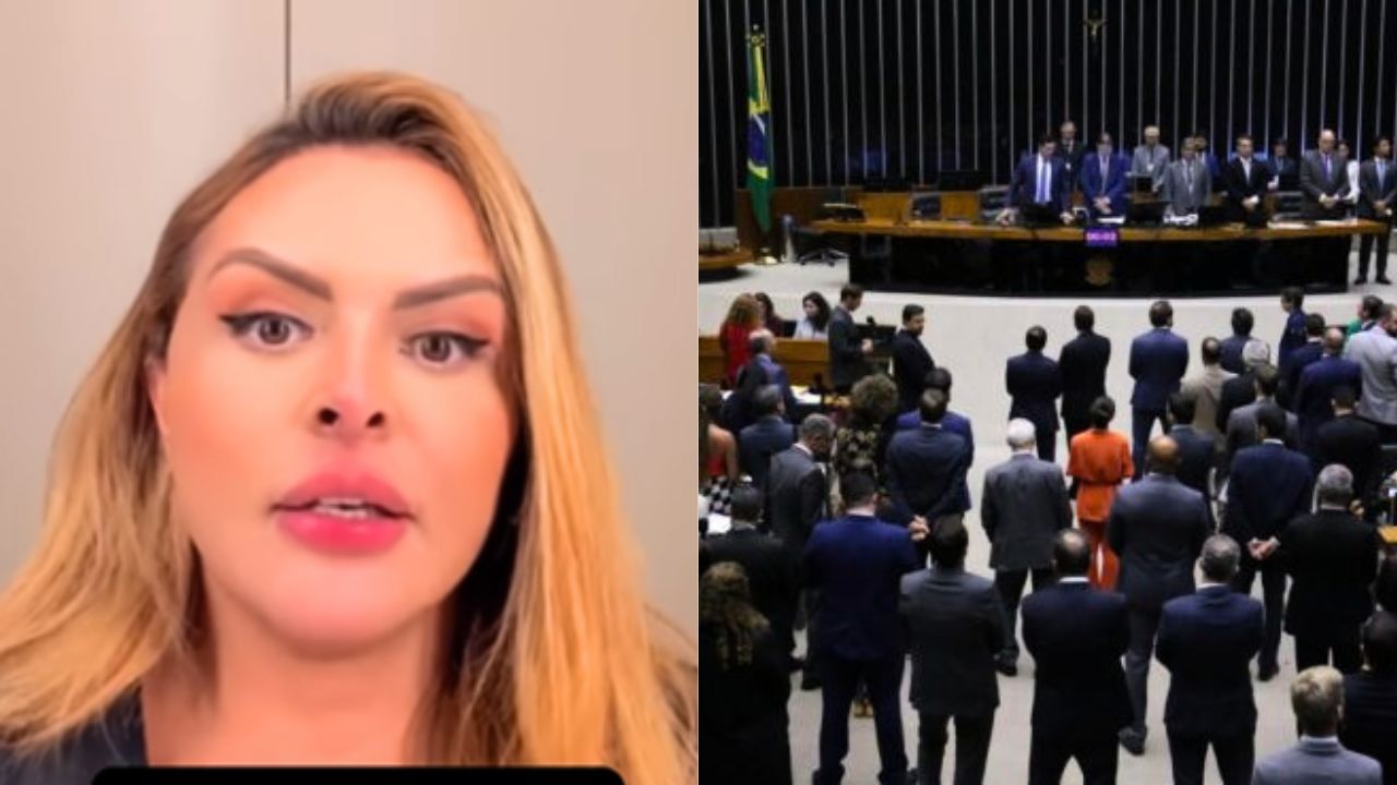Silvye Alves pede desculpas por votar a favor da PEC da Blindagem e anuncia saída do União Brasil