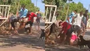 Vídeo flagra momento em que morador de Goiânia é brutalmente espancado por grupo de adolescentes