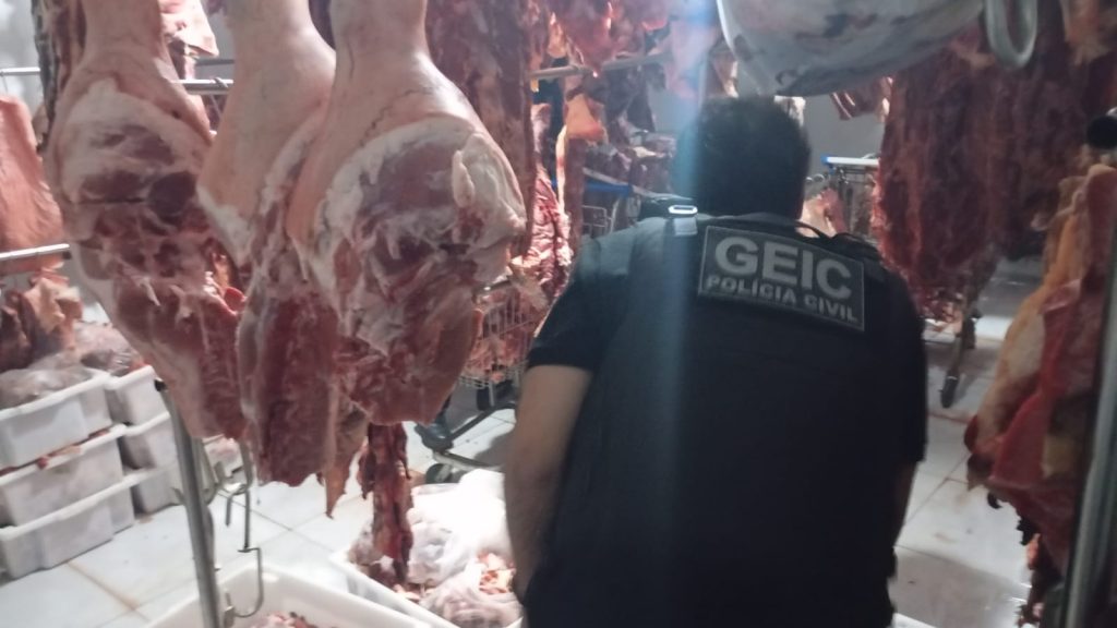 Carnes foram encontradas em condições impróprias para o consumo. (Foto: Divulgação/PC)