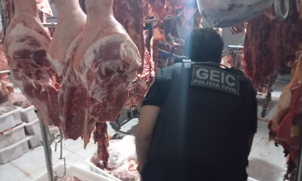 Carnes foram encontradas em condições impróprias para o consumo. (Foto: Divulgação/PC)