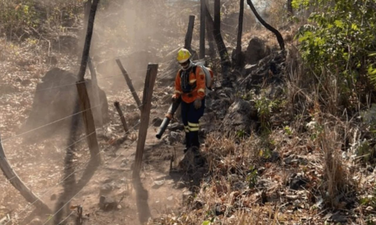Incêndio foi o maior da história do país. (Foto: reprodução)