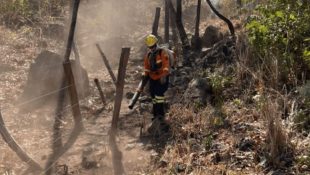 Incêndio foi o maior da história do país. (Foto: reprodução)