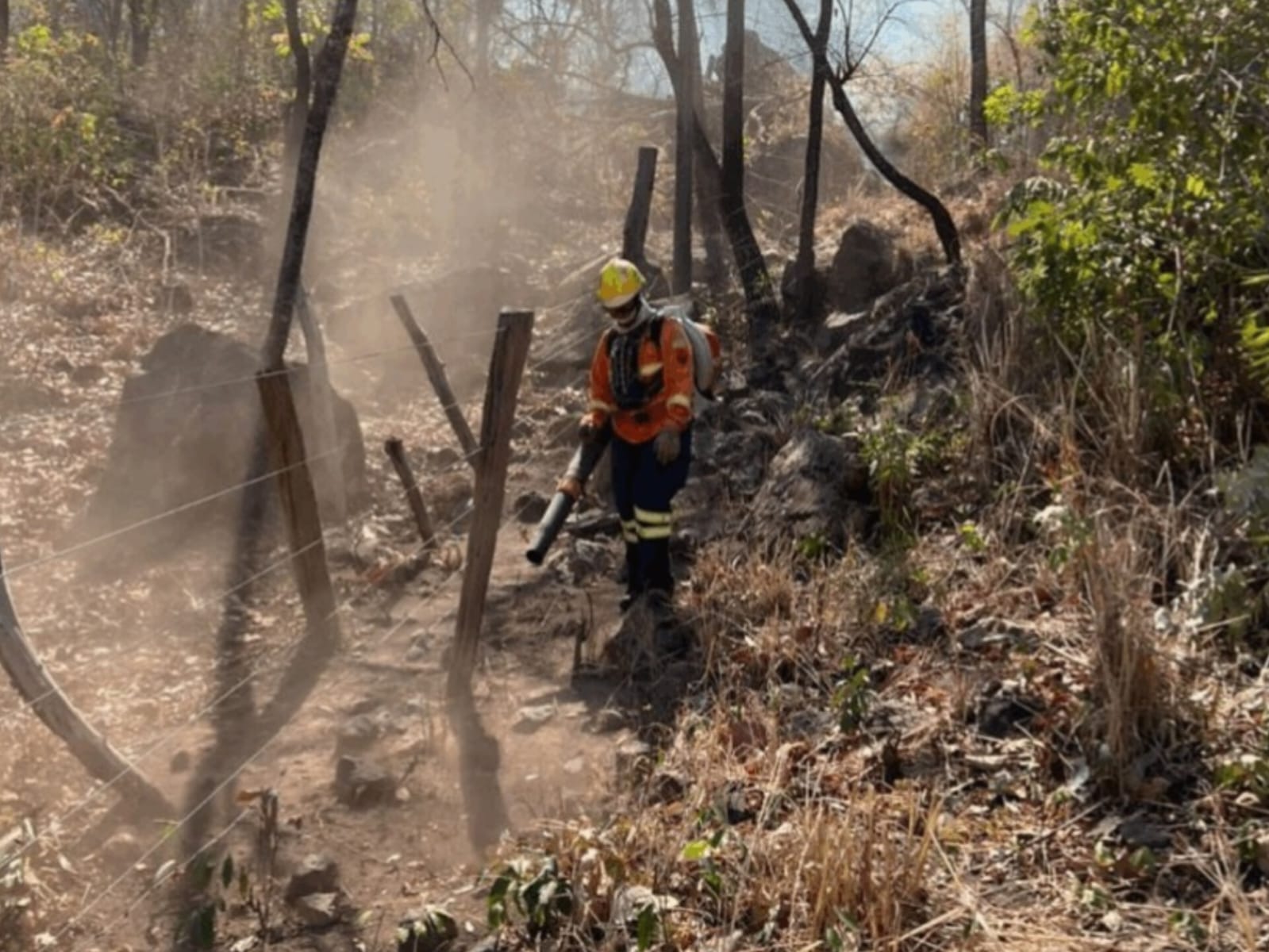 Incêndio foi o maior da história do país. (Foto: reprodução)