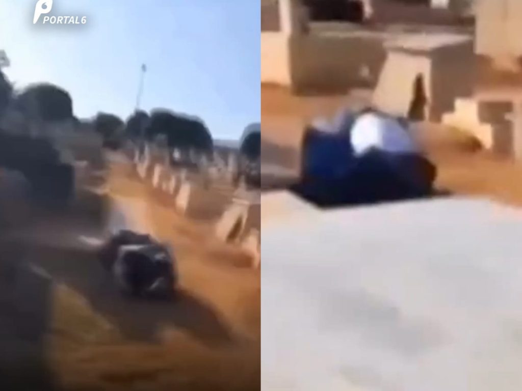 Advogado foi filmado em luta corporal com o jardineiro. (Foto: Tv Anhanguera)