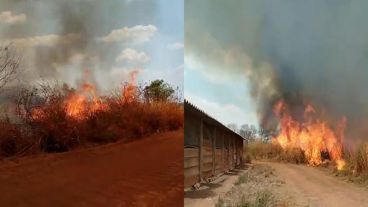 Incêndio em vegetação se espalha e ameaça invadir granja de Anápolis: “vai pegar fogo em tudo”