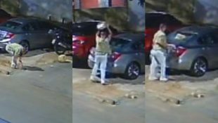 Câmeras registraram o momento em que indivíduo joga pedaço de concreto no carro. (Foto: Reprodução)