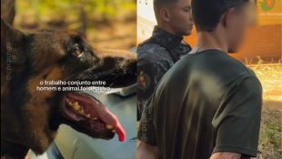Homem é preso em Goiânia após atuação fundamental de cães farejadores da polícia