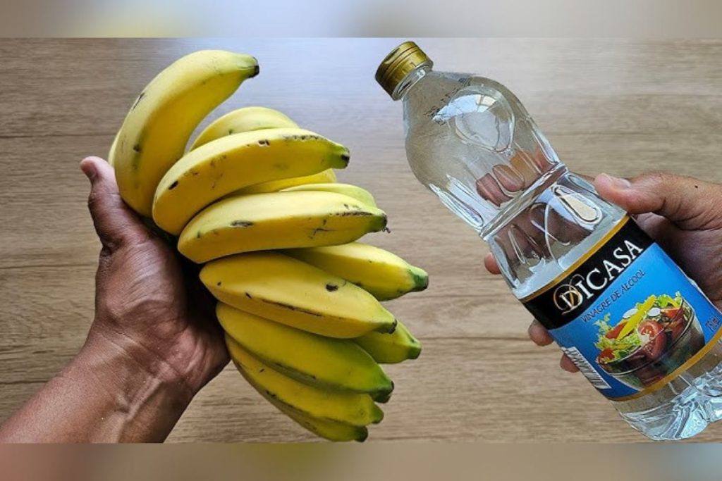Casca de banana com vinagre: por que essa mistura é recomendada e para que ela serve