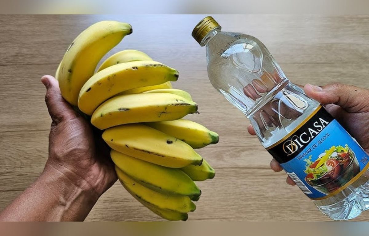Casca de banana com vinagre: por que essa mistura é recomendada e para que ela serve