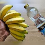 Casca de banana com vinagre: por que essa mistura é recomendada e para que ela serve