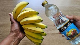 Casca de banana com vinagre: por que essa mistura é recomendada e para que ela serve