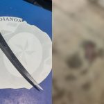Mulher é presa em Goiânia após esfaquear o marido e contar história conflitante para a polícia