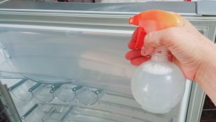 geladeira