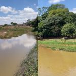"Ilhas" surgem no lago do parque Onofre Quinan e Prefeitura de Anápolis explica situação