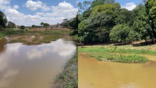 "Ilhas" surgem no lago do parque Onofre Quinan e Prefeitura de Anápolis explica situação