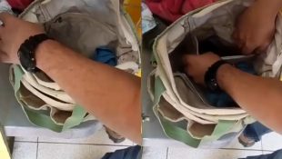 Mãe é presa em Rio Verde após PC encontrar o que ela colocou na mochila do filho de 1 ano