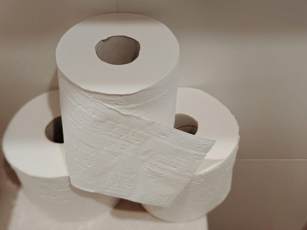6 utilidades do rolo de papel higiênico que a maioria das pessoas não sabiam da existência