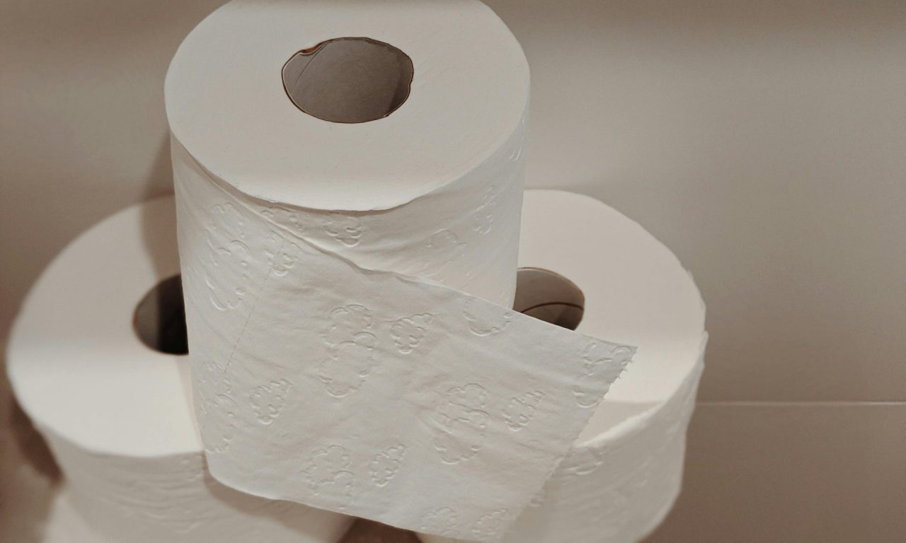 6 utilidades do rolo de papel higiênico que a maioria das pessoas não sabiam da existência