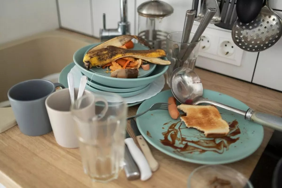 O item comum em todas as cozinhas que mais chama ratos para casa, segundo dedetizadores