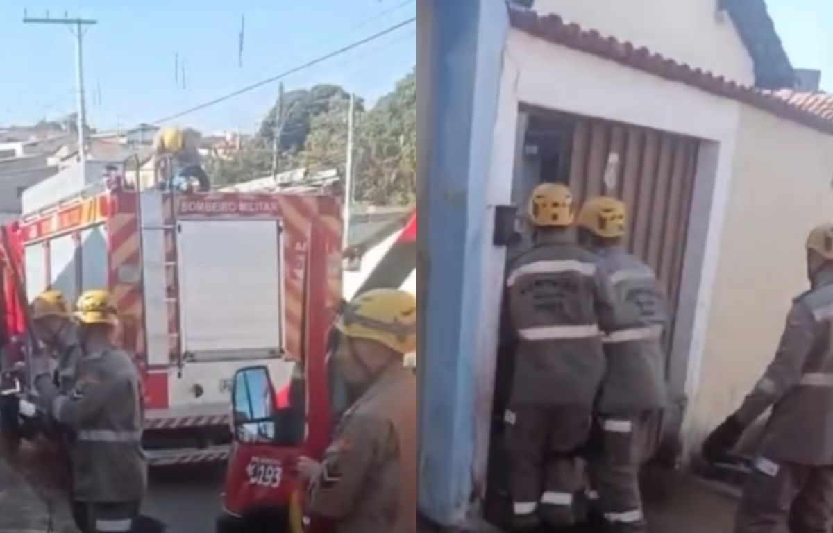Idosa fica gravemente ferida após ataque de pitbull em Anápolis